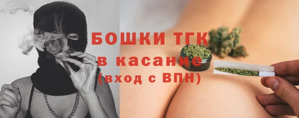 гидра Медногорск