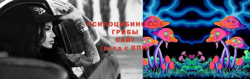 Галлюциногенные грибы Magic Shrooms  даркнет как зайти  Новое Девяткино 